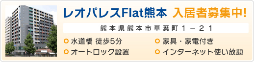 ���I�p���XFlat�F�{