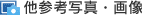 ���Q�l�ʐ^�E�摜