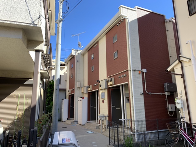 レオネクストラベンダー