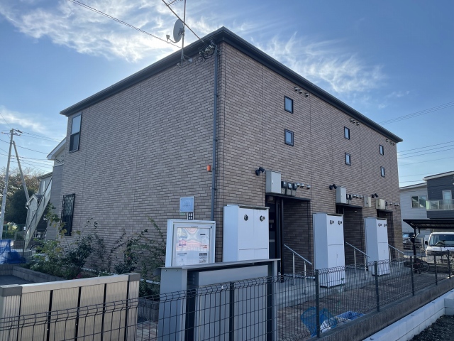 レオネクストベアツリー