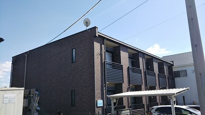 レオネクストスターコート共西